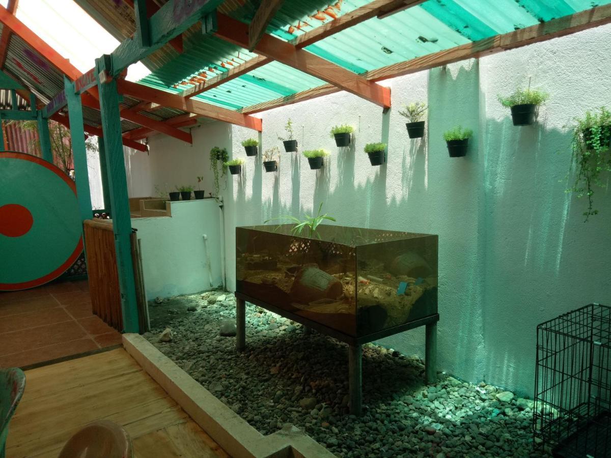 Smallfry'S Beach Resort Calatrava (Visayas) Exterior foto