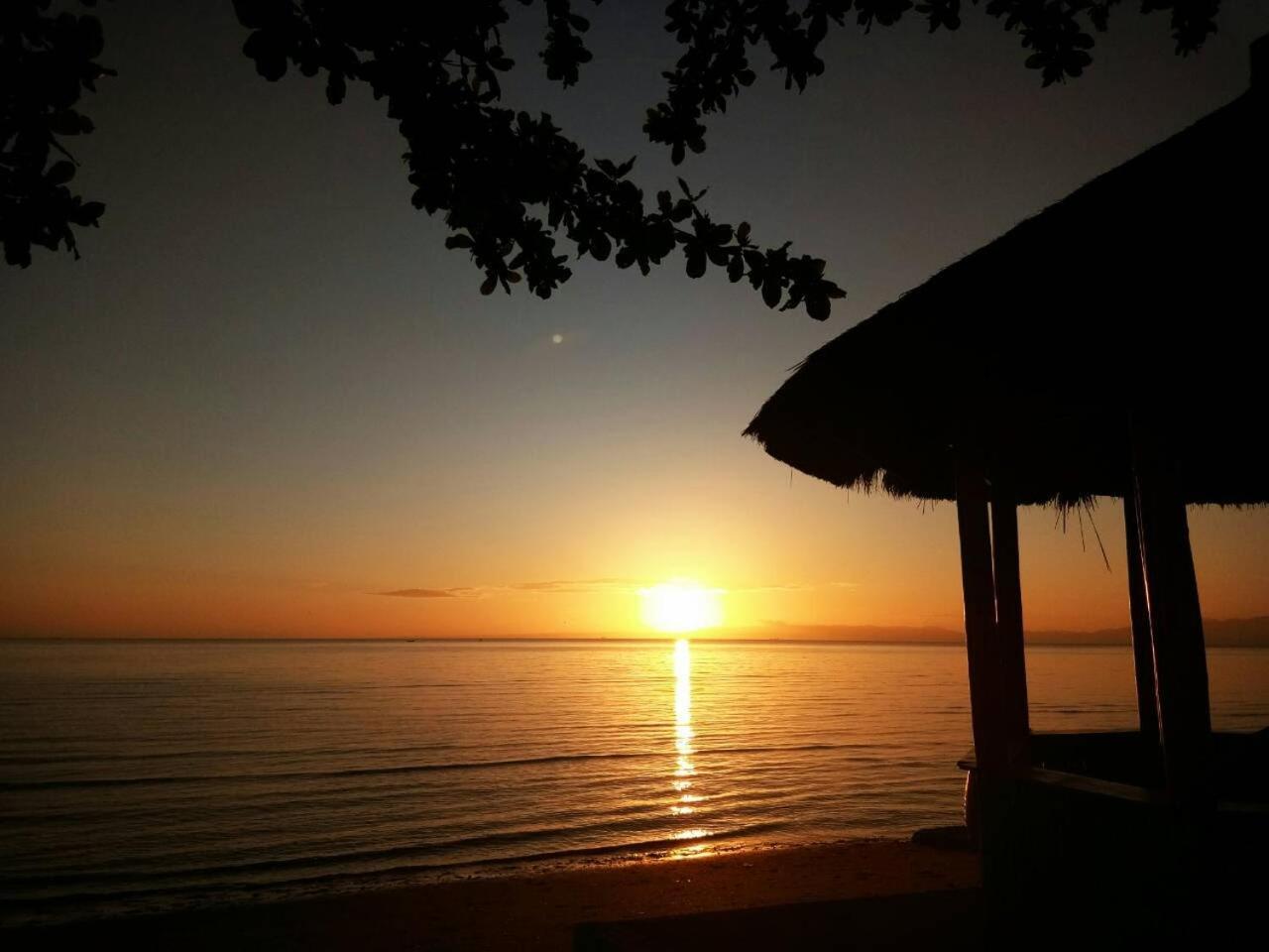 Smallfry'S Beach Resort Calatrava (Visayas) Exterior foto